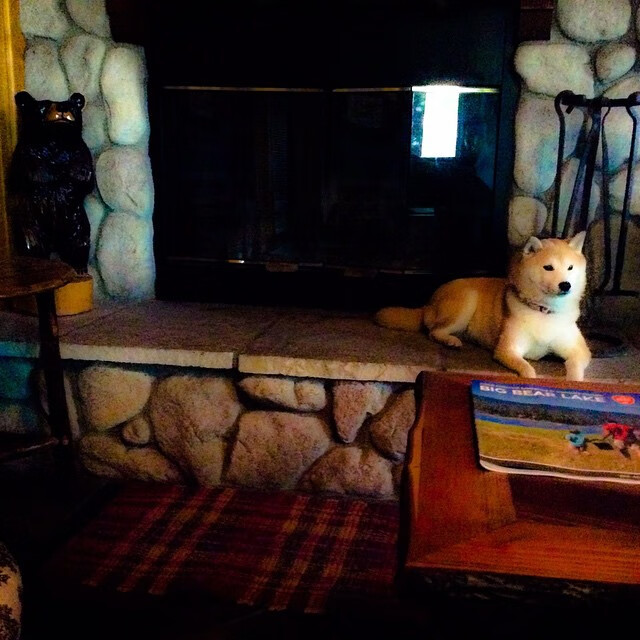 _凯尔特人稳步领跑，士气高昂冲击冠军_，凯尔特人2022