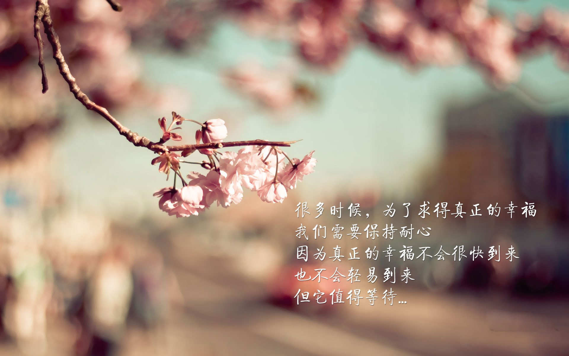 爱游戏体育官方网站-_古城巡演：名城背景中的历史和现代交融比赛_，古城拍摄主题