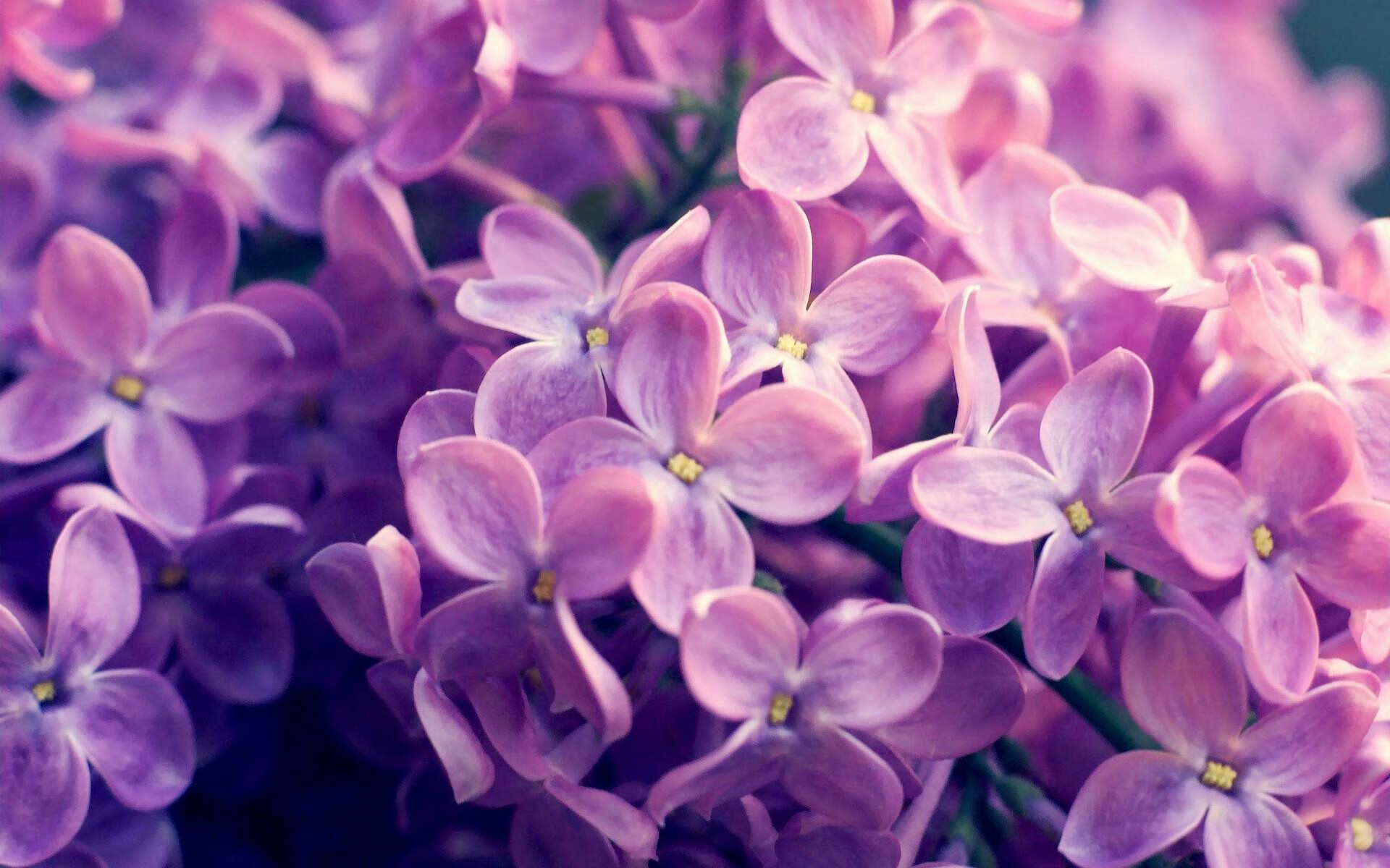 爱游戏体育官方网站-守望先锋 职业联赛竞争异常激烈，守望先锋联赛 竞猜一刻