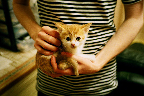 -篮球教练员战术研讨持续深入开展，篮球教练技术总结