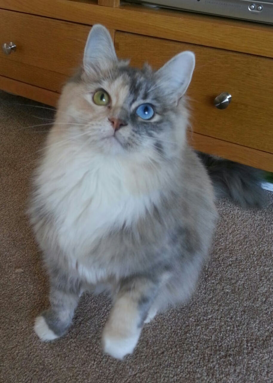 雷霆举办“更衣室文化日”,分享球员幕后故事,雷霆球衣大全