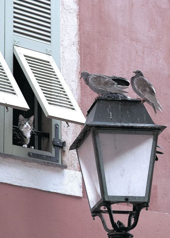 AYX体育-青训优秀教练团队深耕基层，为青少年球员提供专业指导，青训球员的定义