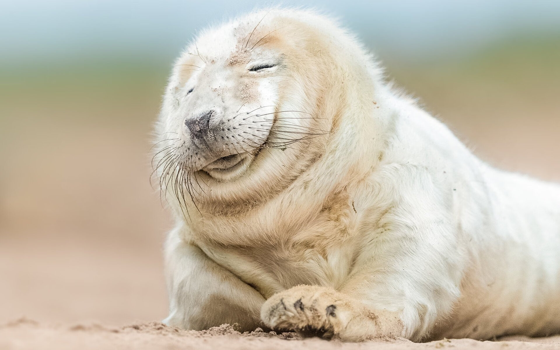 AYX体育-RNG新人选手表现抢眼，rng所有选手