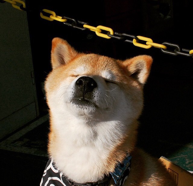 爱游戏中国官方登录入口网站-勇士战胜尼克斯东部次轮战局-遥遥领先，勇士对战尼克斯回放