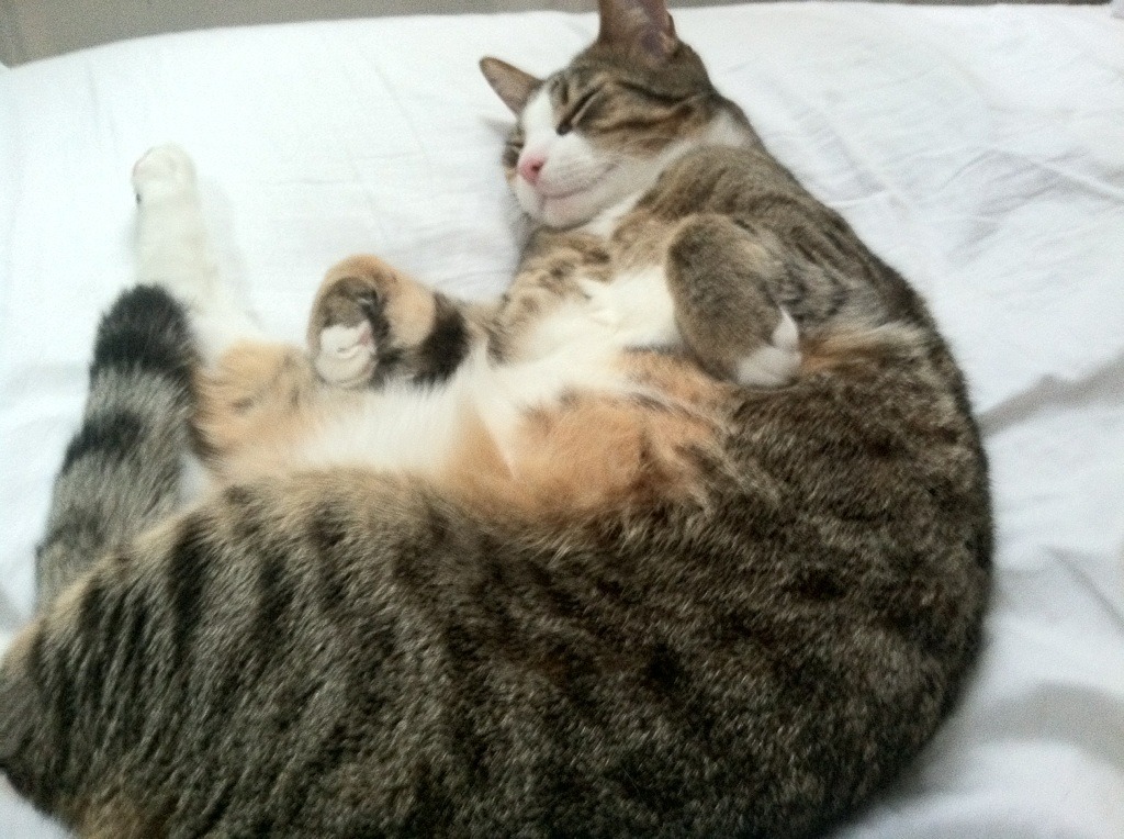 尤文图斯主场大胜曼城,却仍止步八强!,曼城尤文图斯交锋历史