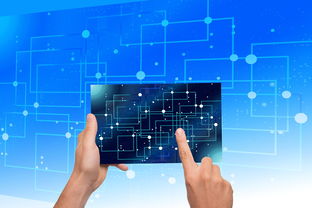 AYX官网-中国篮球教练员执教能力提升路径研究，中国篮球教练员岗位培训a级教程书籍