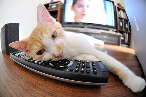 中超比赛关键数据可视化统计,中超联赛数据分析公司