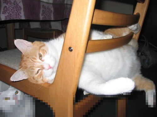 中超球员停球能力数据测评,中超联赛暂停