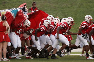 AYX GAMING-全国青少年皮划艇竞速赛在杭州顺利举行，青少年皮划艇夏令营活动