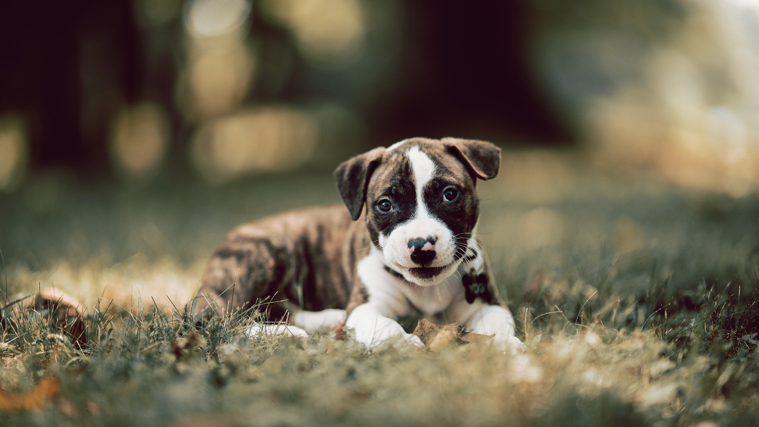 外教薪资结构合理性评估,i2外教工资