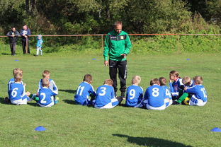 爱游戏在线登录入口-新加坡队在国际乒联混合团体世界杯的战术执行力与技术突破，乒乓 新加坡