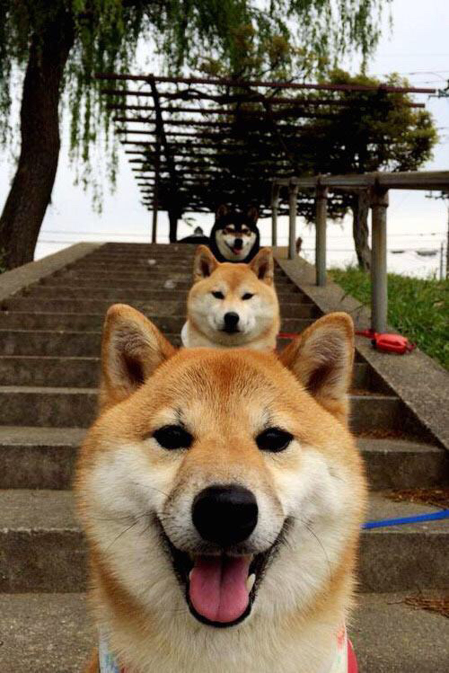 爱游戏体育-澳大利亚队的挑战与机遇：国际乒联混合团体世界杯中的亮点表现