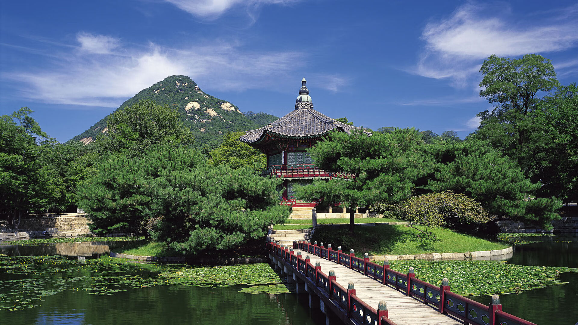 瑞典乒乓队未来发展:如何保持顶尖竞技状态,瑞典乒乓球队员名单