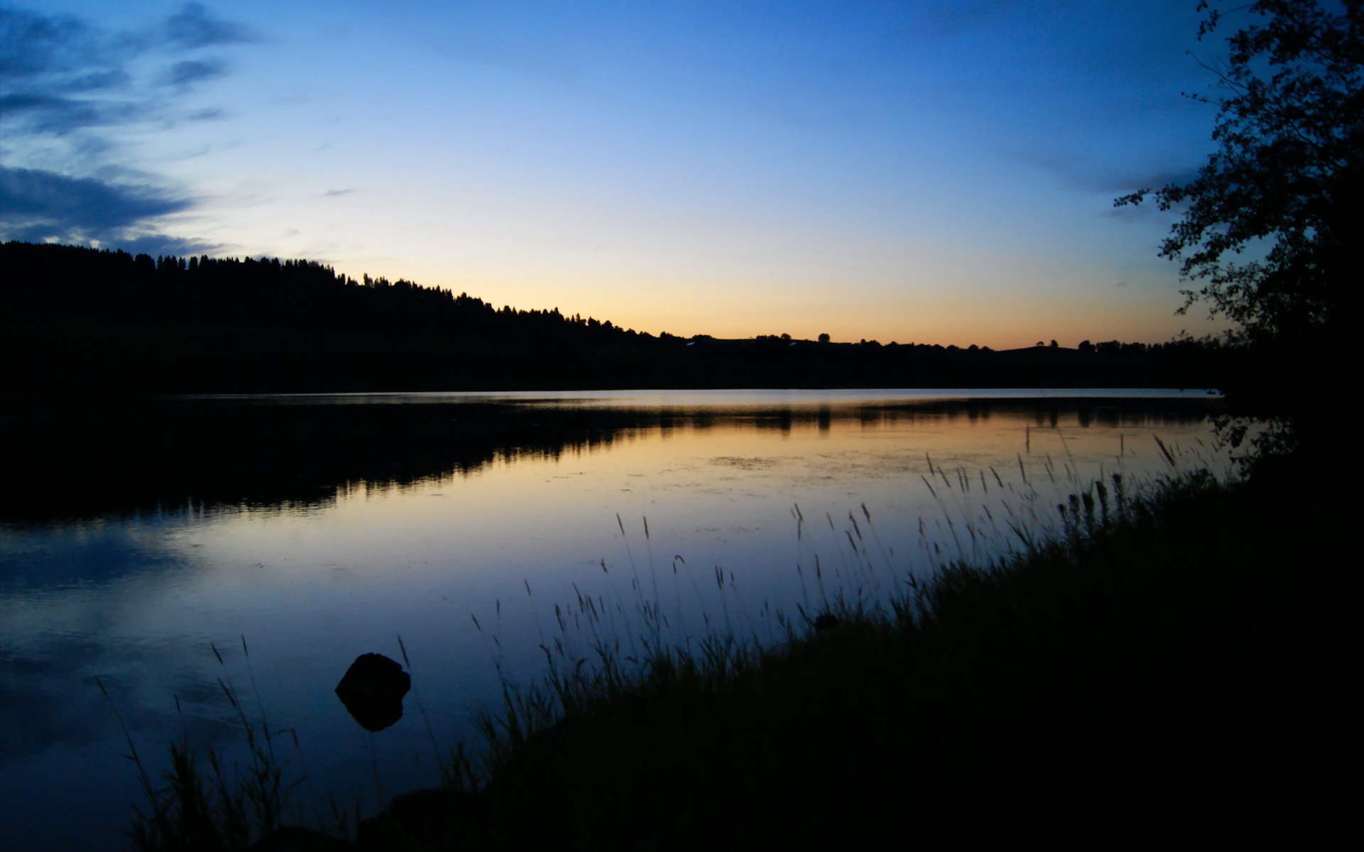 男子100自速度起伏曲线揭秘，100米自由下落需要几秒