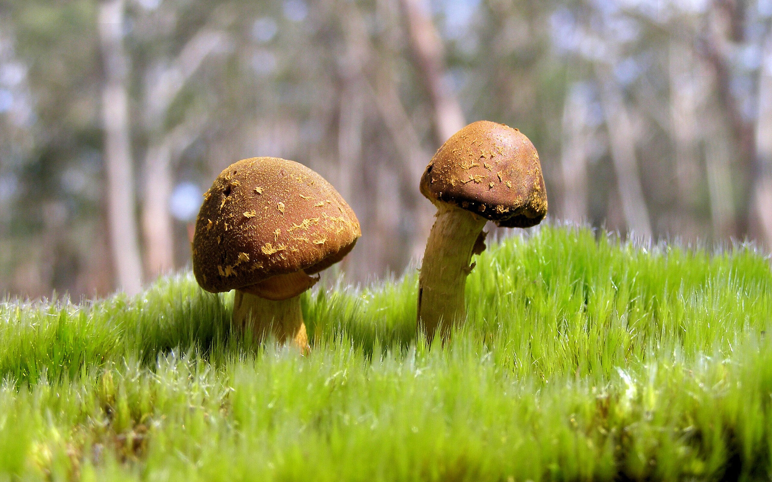 爱游戏综合娱乐-英超高强度对抗风格对比西甲技术流打法，西甲和英超风格