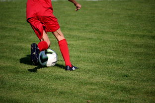 AYX体育-中国足球青训体系引进国际先进训练理念，中国足球青训体系是什么