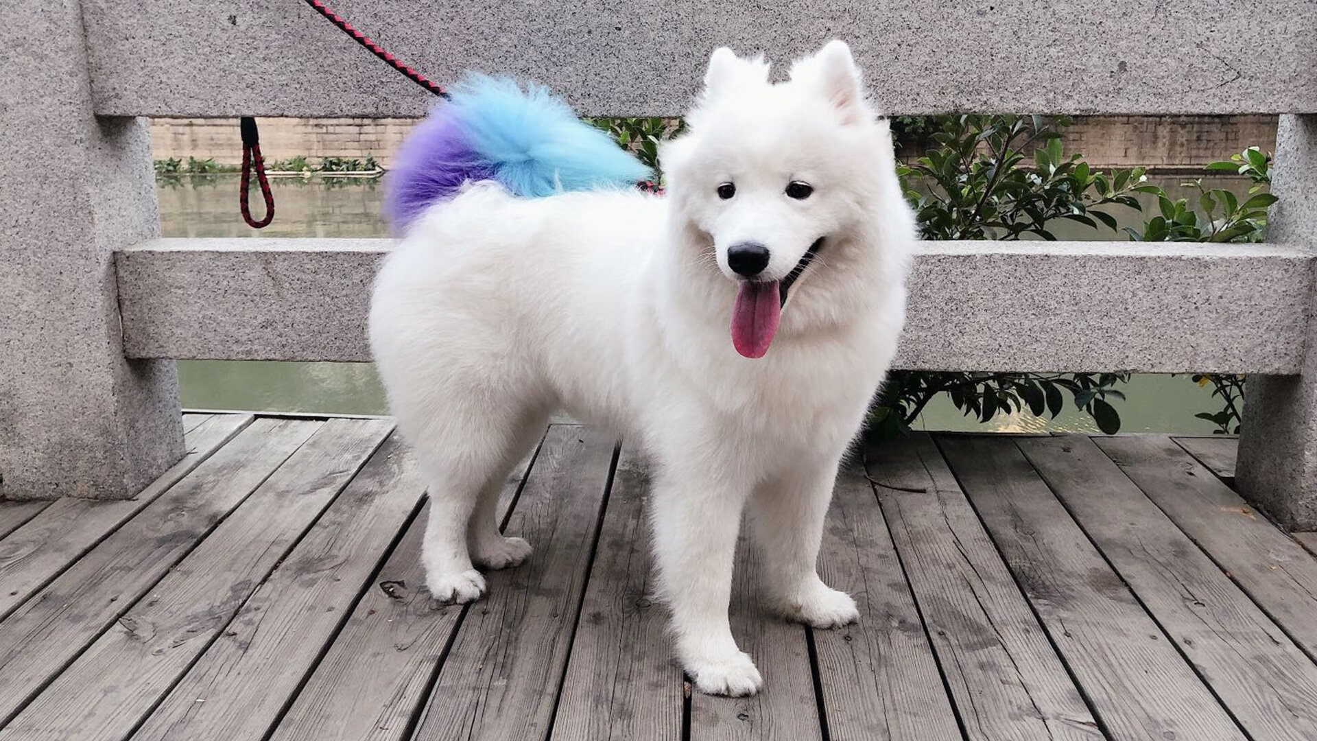 爱游戏娱乐-乔治·巴尔：全黑队的“精准传球者”，总能在关键时刻找到队友的空档