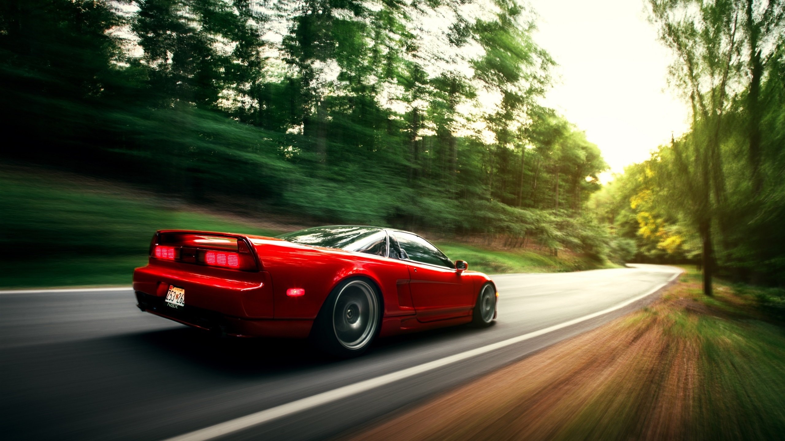 保利娜·普费夫完美入水赢得喝彩,保加利亚普罗夫迪夫音乐舞蹈美术学院