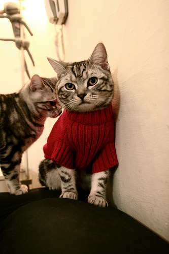 爱游戏体育-体育院校篮球实验室启用结合生物力学提升训练效率，篮球生体能训练